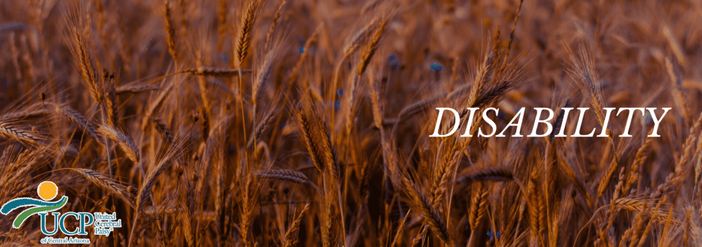blog banner D for Disabilities
