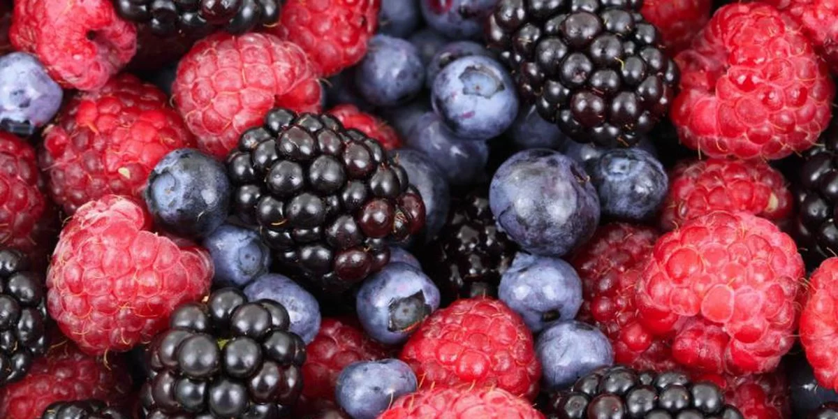 A close up of raspberries, blueberries and blackberries at a home and community based services.