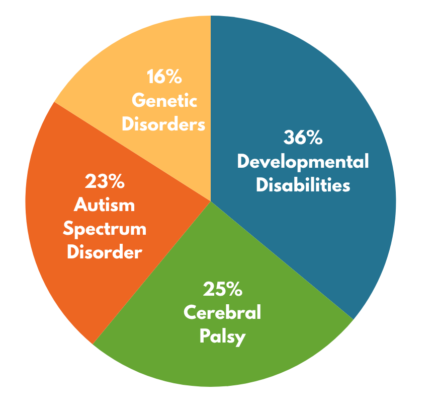 Pie chart showing 36% Developmental Disabilities, 25% Cerebral Palsy, 23% Autism Spectrum Disorder, and 16% Genetic Disorders.